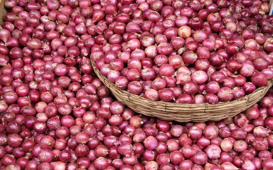 चितवनका किसानलाई प्याजको उचित मूल्य नपाउँदा सस्तोमा बेच्न बाध्य