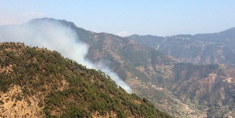 तनहुँ डढेलोको जोखिममा, सचेतनाका कार्यक्रम सञ्चालन