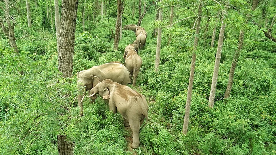 रातभर जाग्राम बस्न बाध्य आरक्ष क्षेत्रका स्थानीय