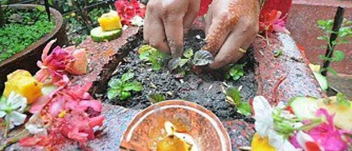 ज्येष्ठ शुक्ल एकादशीः घरका मठमा तुलसीको दल राखिँदै