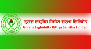 गुराँस लघुवित्तको  खुद नाफा २ करोड २४ लाख २ करोड २४ लाख