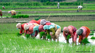आत्मनिर्भर कृषि अर्थतन्त्रको विकासका लागि कृषि क्षेत्रको व्यावसायीकरण गर्न माग