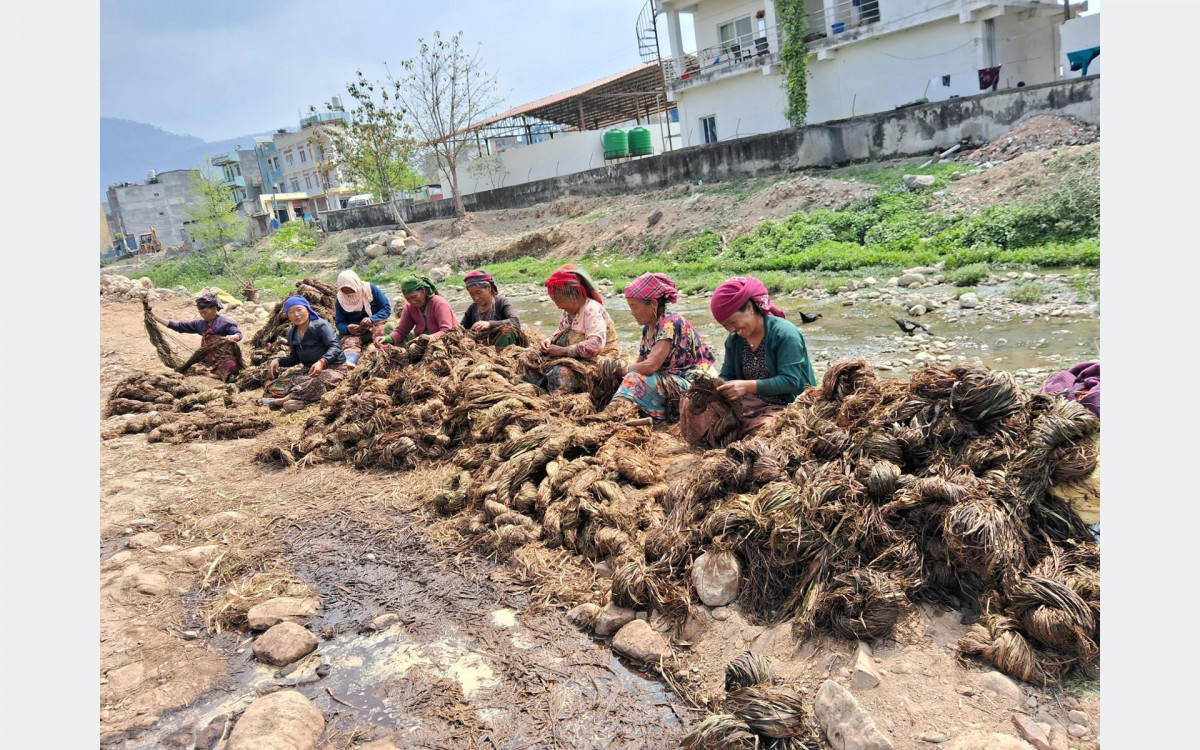 अल्लो उद्योगमा ३५ जना बढी महिलालाई रोजगार