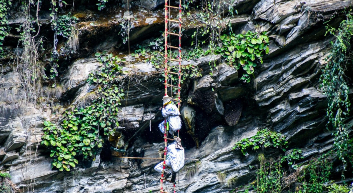 आयआर्जन र पर्यटन प्रवर्द्धनको माध्यम बन्दै महसिकार