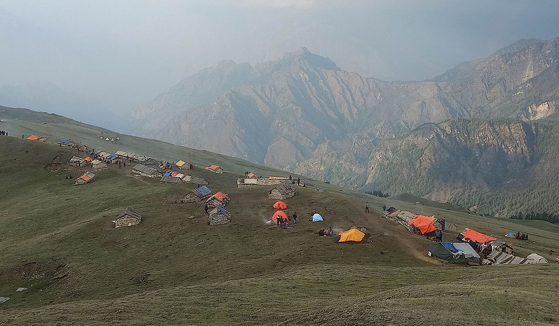 यार्सा सङ्कलनः मुगुमा चारजनाको मृत्यु, एक सिकिस्त