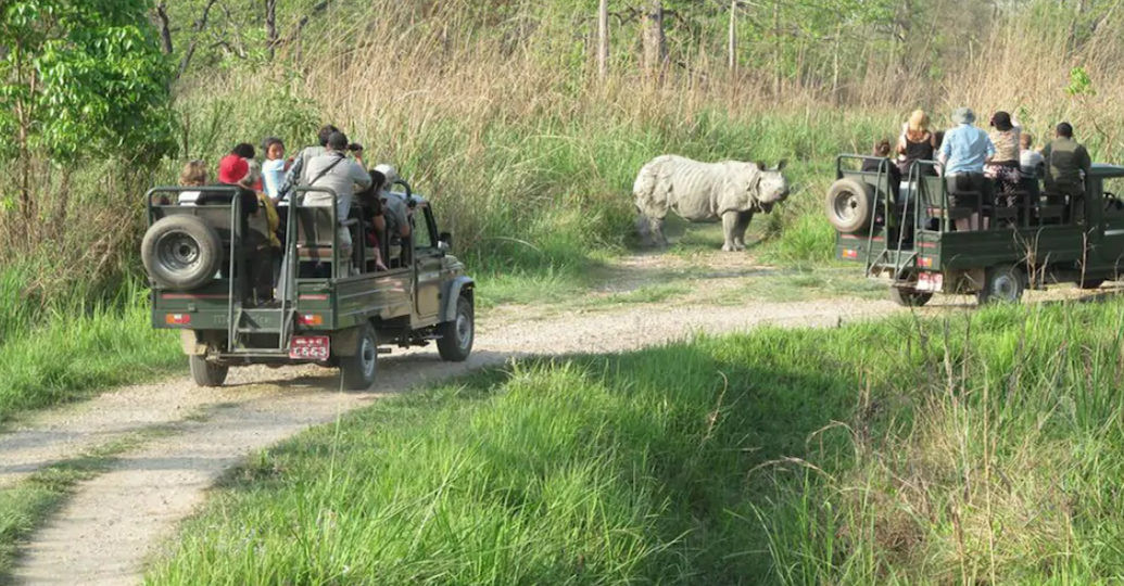 असार १६ गतेदेखि  चितवन राष्ट्रिय   निकुञ्ज सफारी बन्द हुने