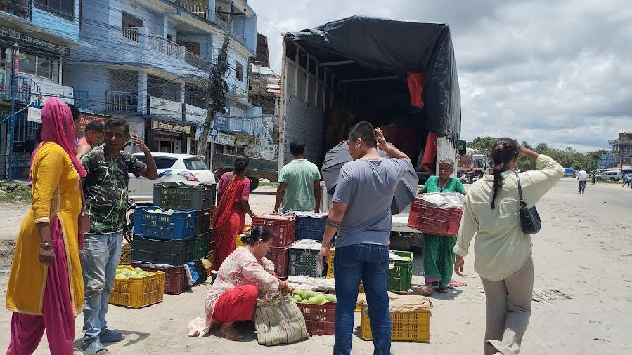 सुनसरीमा आँप उत्पादन घट्यो