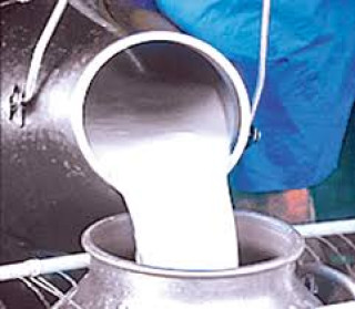 दूध किसानले पाए रु सोह्र लाख अनुदान
