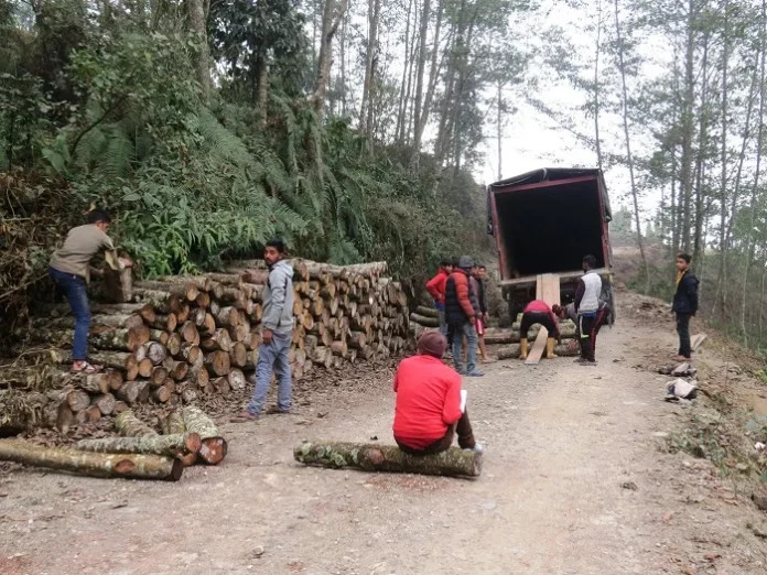 चारवटा ट्रकसहित ३२ लाखबढीको काठ नियन्त्रणमा