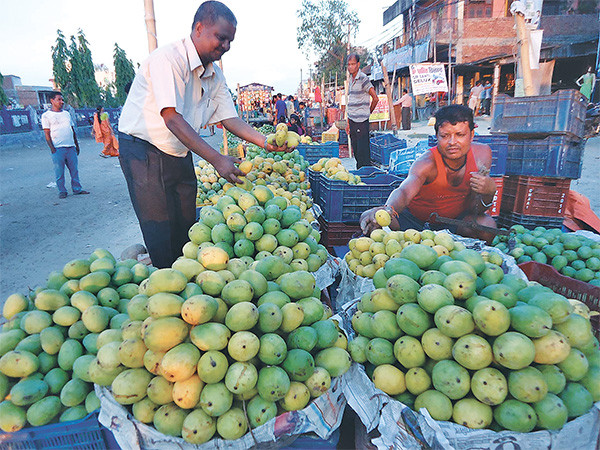 भारतबाट १ अर्ब १२ करोड ९० लाख ७ हजार किलो आँप आयात