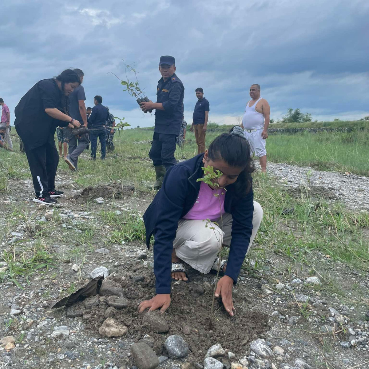 पर्यावरण संरक्षण गर्न झापामा धमाधम वृक्षारोपण गरिँदै