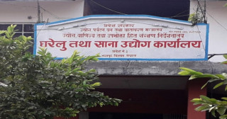 पाल्पामा थपिए एक वर्षमा ९७ उद्योग