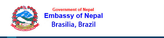ब्राजिलमा ट्रान्जिटमा रहेका १७६ नेपाली सकुशलः नेपाली दूतावास