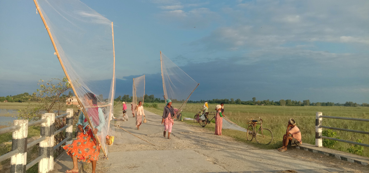 घोँगी र झिँगामाछा बिक्री गरेर दैनिक एक हजार पाँच  सयसम्म आम्दानी