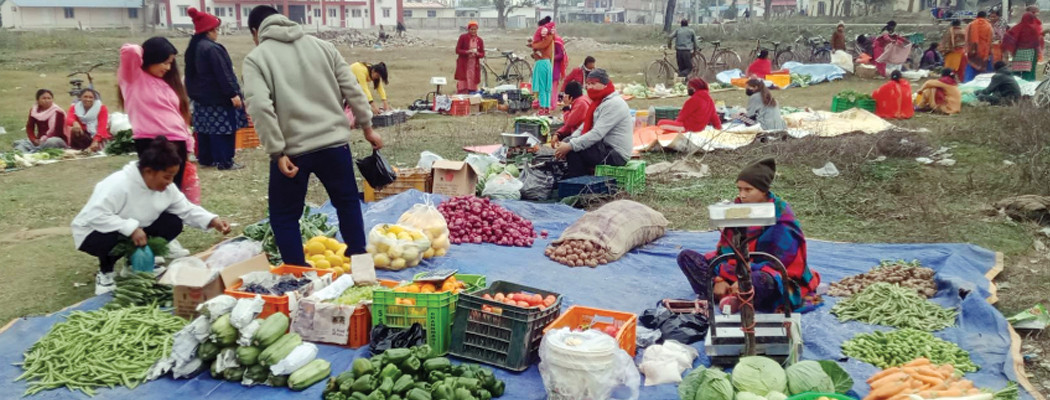 सहकारीको कृषि हाटबजारमा उपभोक्ताको घुइँचो