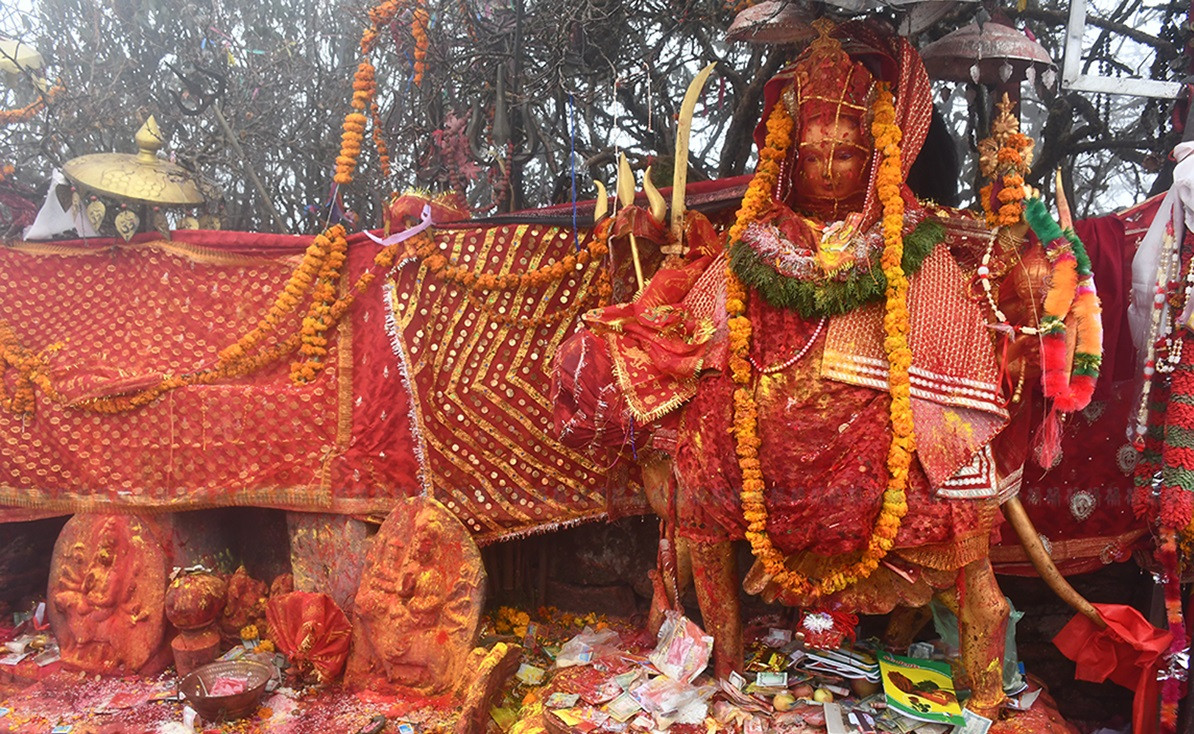 फागुनमा पाथीभराबाट १३ लाख बढी भेटी सङ्कलन