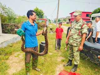 टीकापुरलाई ‘जिरो स्नेक किलिङ’ नगर बनाउन लागिपरेका लक्ष्मण