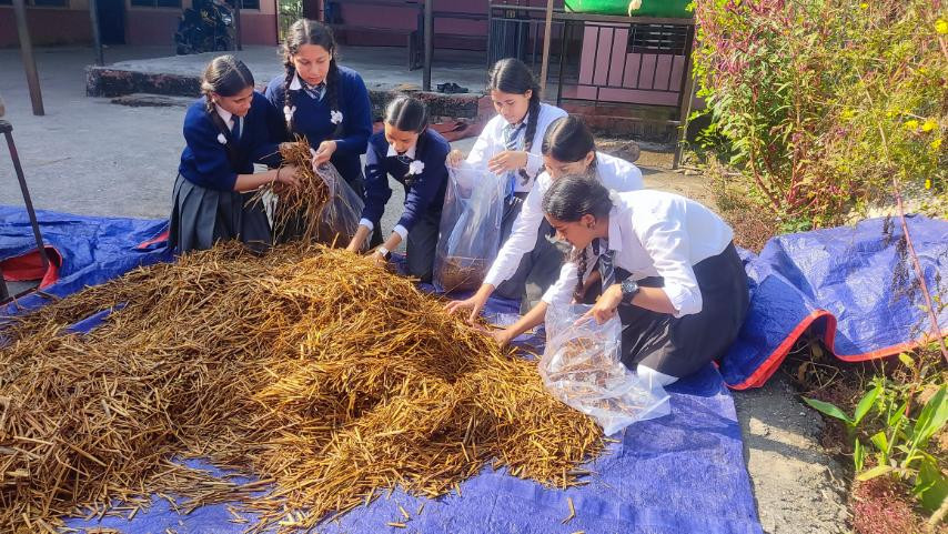 विद्यार्थीद्वारा व्यावसायिक च्याउखेती