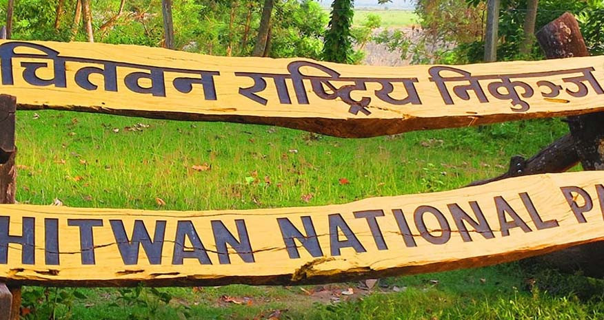 चितवन निकुञ्जद्वारा नियमविपरीत काम गर्ने ६५ जनालाई कारबाही