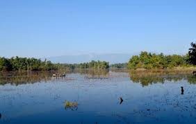 आज विश्व सिमसार दिवस